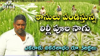 లిల్లీ పూల సాగుతో ఆదాయం భళా  Success Story of Tuberose or Lily flower cultivation Karshaka Mitra [upl. by Arhaz]