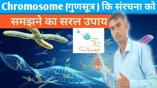 गुणसूत्र की संरचना  Structure of chromosomes [upl. by Waxler]