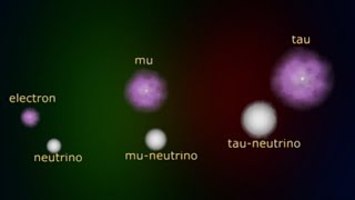 Intro to leptons [upl. by Hofmann]