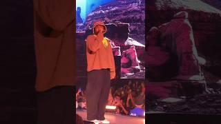 Tyler The Creator Brings Out Donald Glover during Coachella Set 2024 [upl. by Dollie]