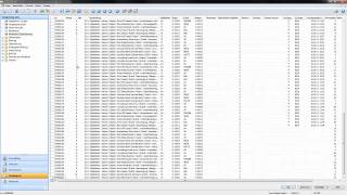 BSS Software für Dienstleister Planwerte in der Zeiterfassung im classic client [upl. by Dalton]