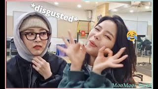 Solar amp moonbyul being SUS on Solarsido Live  Highlight [upl. by Towroy]