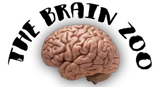 The Brain Zoo  Basics of Meditation [upl. by Sgninnej]