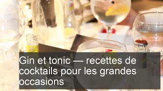 Gin et tonic  recettes de cocktails pour les grandes occasions [upl. by Reviel]