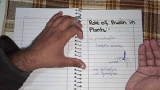 Role of auxin in plants in urdu hindi Phototropismpositive and negative geotropism [upl. by Andreana]