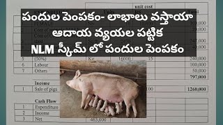 Pig farming project report and NLM [upl. by Atteuqahc]