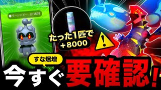 たった１匹で8000すな爆増イベント＆GOフェス2024日程とマーシャドー判明！カイオーガ＆グラードン強さ解説と最新まとめ【ポケモンGO】 [upl. by Cayla]