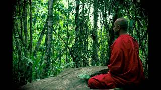 4 Foundations of Mindfulness Meditation  Buddha Dhamma  Theravada Buddhism [upl. by Eraste]