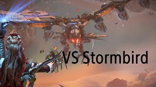 Aloy VS Stormbird  Horizon Forbidden West [upl. by Lleira]