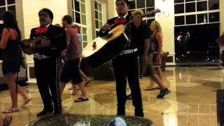 Catalonia Royal Tulum lobby entertainment 2013 [upl. by Fosque]