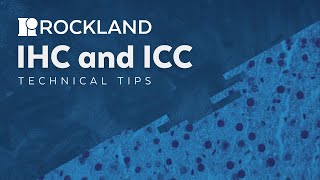 Immunohistochemistry IHC VS Immunocytochemistry ICC  Technical Tips [upl. by Rebmyk278]