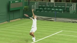 Wimbledon The Beginners Guide [upl. by Nwahsyt]