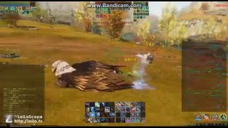 ArcheAge PVP Orchidna 幻影闘士 Enigmatist 2 [upl. by Ria]