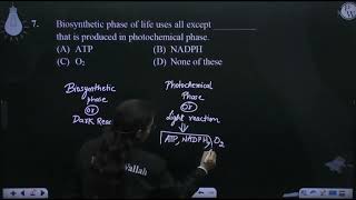 Biosynthetic phase of life uses all except  that is produced in photochemical phase [upl. by Flosser]