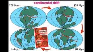 Continental Drift  Evidence [upl. by Richlad]