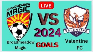 Broadmeadow Magic Vs Valentine FC football live match today Goals result 2024 [upl. by Evangelin362]