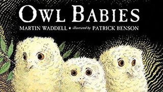 🦉 Kids Books Read Aloud OWL BABIES 🦉 by Martin Waddell  World English School Today [upl. by Peednam]