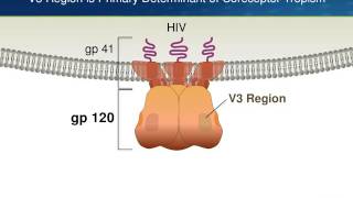 Testing for HIV Coreceptor Tropism [upl. by Anerat]