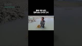 낙지잡이만 먹을 수 있는 공짜간식 Shorts 골라듄다큐 [upl. by Drue]