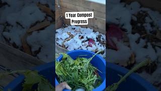 Making Compost  Composting Progress  Alaska [upl. by Astrea]