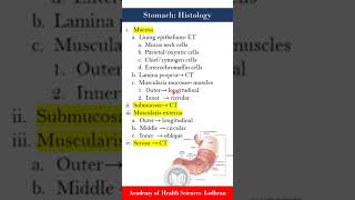 Stomach histology [upl. by Leima]