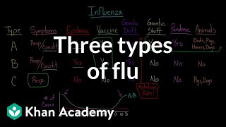 Three types of flu  Infectious diseases  Health amp Medicine  Khan Academy [upl. by Coretta]