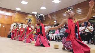 Danca Cultura Timor Leste🇹🇱 Hatudo husi Timor oan Iha Scunthorpe UK 🇬🇧 [upl. by Etnoek]