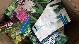 Spring Bulbs Unboxing with myself amp Puggy Ava  Daffodils  Snowdrops  Tulips  Alliums amp more [upl. by Godric90]