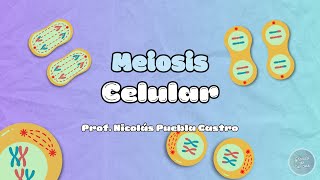 Meiosis en 5 minutos [upl. by Georg]