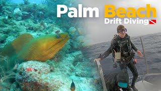 What Is Drift Scuba Diving Palm Beach Florida [upl. by Bigot545]