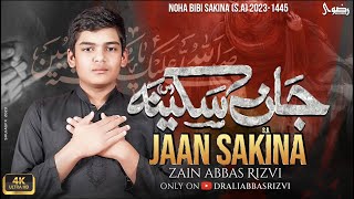 Jaan Sakina Meri Jaan Sakina  bibi Sakina Noha  Muharram 2023  Zain Rizvi [upl. by Tooley]