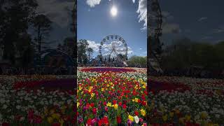 Floriade in Canberra ACT Australia canberra australia [upl. by Rubens]