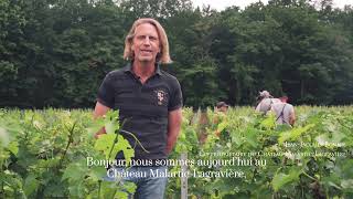 Chateau MalarticLagraviere travail du sol et agroécologie juin 2021 [upl. by Leaper]