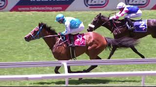 HILLARY STEP  RACE 1 turffontein 04012024 [upl. by Hennessy]