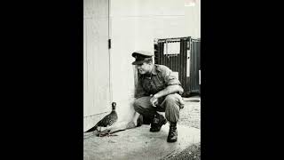 Dasher Wheatley VC and Hurbert the Duck [upl. by Amhser]