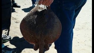 Pesca de Raya en Punta Mogotes Mar del Plata [upl. by Cristi550]