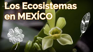 Ecosistemas de México [upl. by Damalas]