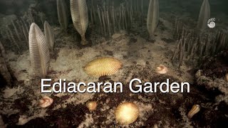 Ediacaran Garden the first animals [upl. by Selle625]