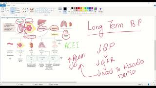 Hypertensionregulation of blood pressureantihypertensive drugs pharmacologyUSMLE STEP 1Pathology [upl. by Assile]