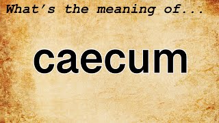 Caecum Meaning  Definition of Caecum [upl. by Rainah]