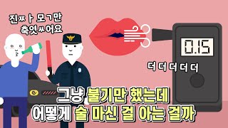 음주 측정기를 불기만 했는데 어떤 원리로 술을 마신 걸 아는 걸까 [upl. by Solley315]