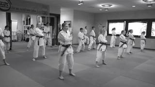 Karate Schule Rheinfelden [upl. by Peterec239]