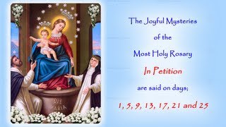 The Joyful Mysteries  In Petition  Annual 54 Day Rosary Novena [upl. by Orfinger479]