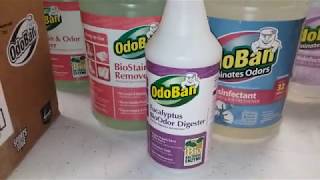 Why we prep Odoban from Sams Club  Lysol alternative to save money  Antibacterial and virucide [upl. by Magbie]