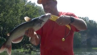 Catch a Channel Catfish in 4 MINUTES or less [upl. by Strep425]