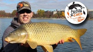 How to catch carp  carp fishing tips and techniques  carp bait [upl. by Atinrahc]