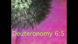 Deuteronomy 65  Bible Memory Verse Song for Kids [upl. by Eaton]