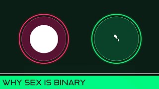 Why Sex Is Binary [upl. by Conover131]