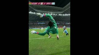 Impossible Goalkeeper Saves [upl. by Faludi950]