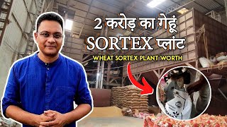 Wheat Sortex Plant  Wheat Cleaning Machine  Sortex Clean Plant [upl. by Aihsined]